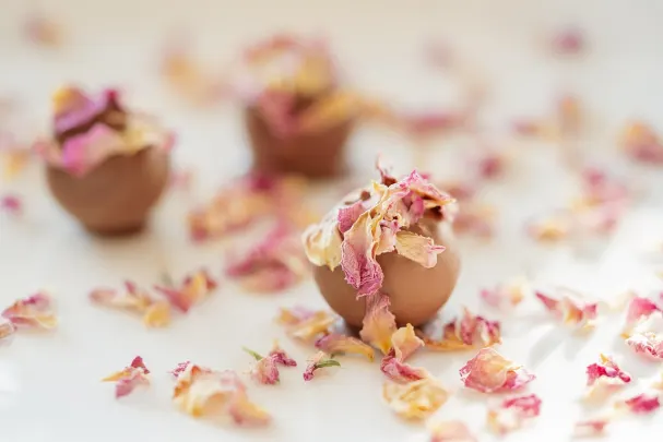 카지노 파라다이스 윈 안드로이드/iOS 앱